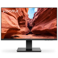 Computer Monitors