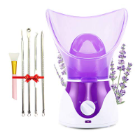 Best Facial Steamers