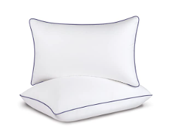 Best Pillows
