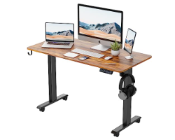 Best Standing Desks